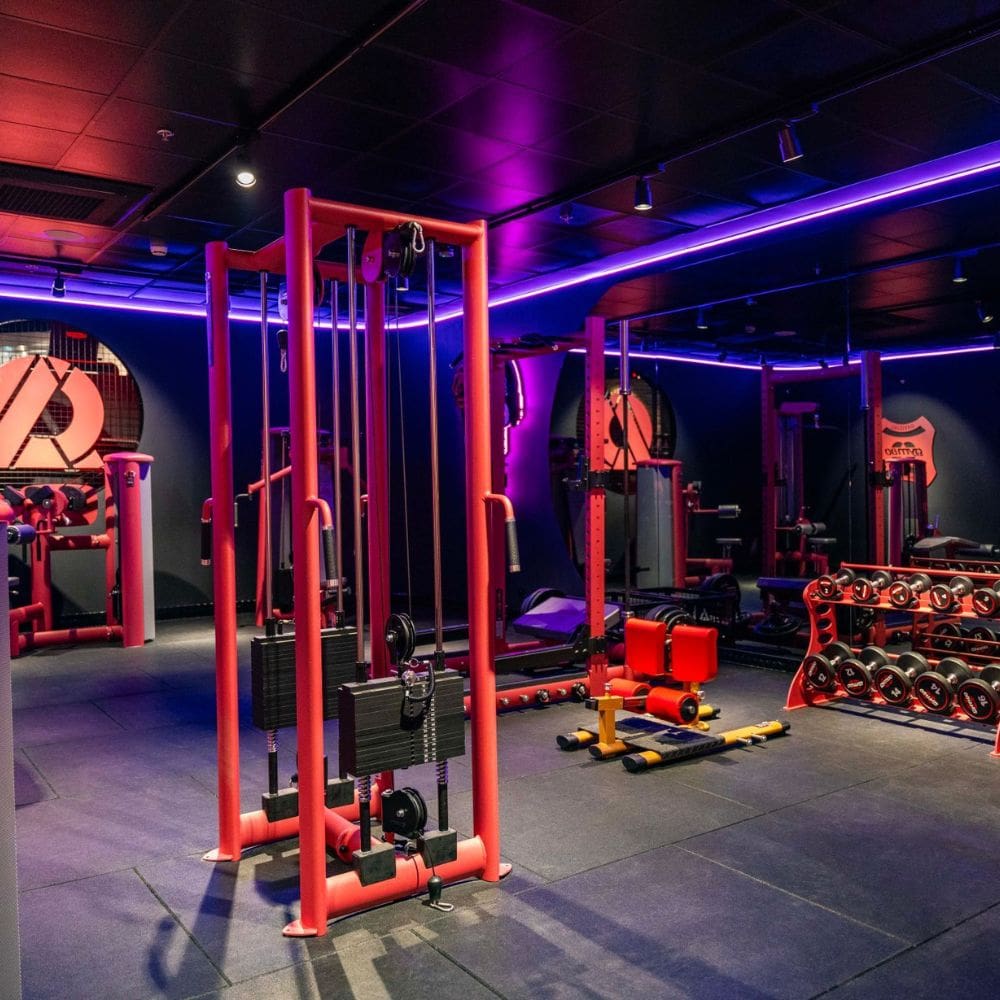 TRIB3 La Moraleja-Gimnasios & Fitness-Milla de Oro-Barrio Salamanca-imagen-4