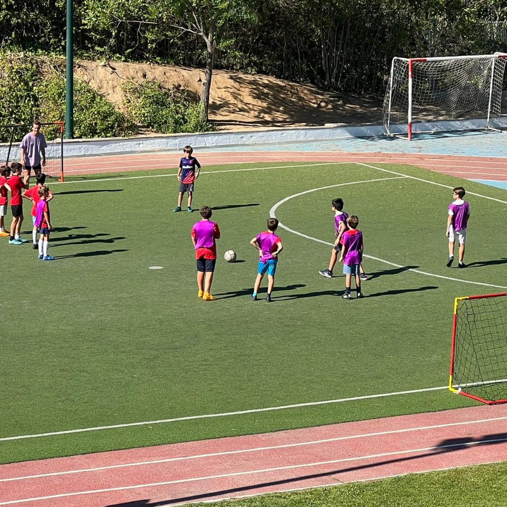 colegio suizo de madrid en la moraleja – imagen 3