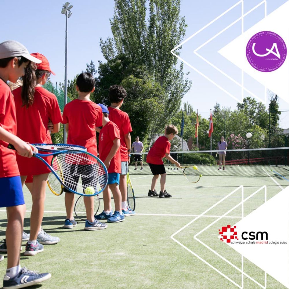 colegio suizo de madrid en la moraleja – imagen 4